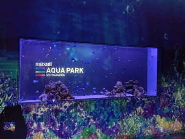 マクセル アクアパーク品川に投稿された画像（2020/11/24）