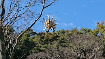 日本モンキーパークに投稿された画像（2020/11/24）