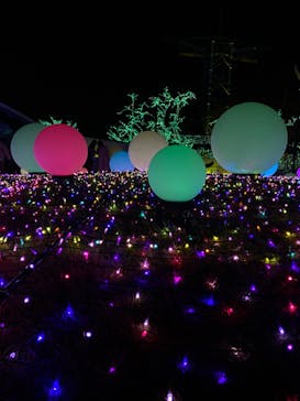 よみうりランド 遊園地に投稿された画像（2020/11/24）