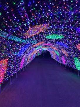 よみうりランド 遊園地に投稿された画像（2020/11/24）