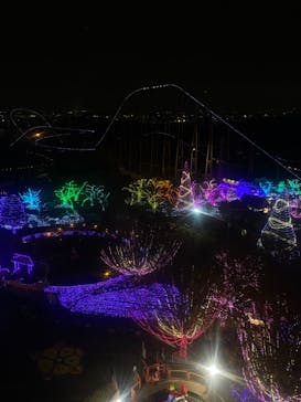 よみうりランド 遊園地に投稿された画像（2020/11/24）