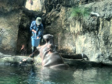 天王寺動物園に投稿された画像（2020/11/24）