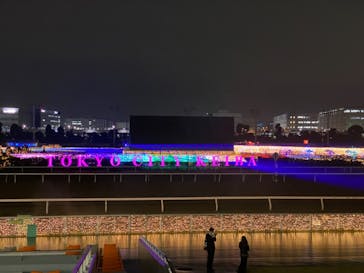 東京メガイルミに投稿された画像（2020/11/24）