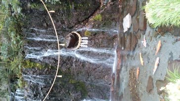 箱根湯本温泉 天成園に投稿された画像（2020/11/24）