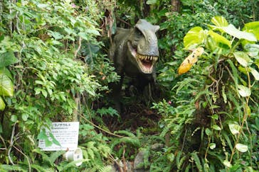 御菓子御殿　名護店　やんばる亜熱帯の森DINO恐竜PARKに投稿された画像（2020/11/24）