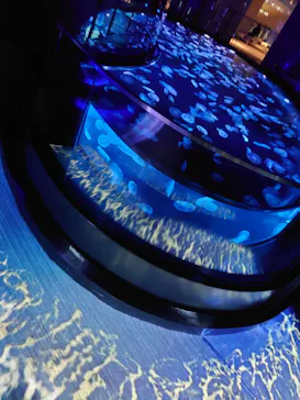 すみだ水族館に投稿された画像（2020/11/24）