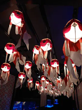 すみだ水族館に投稿された画像（2020/11/24）