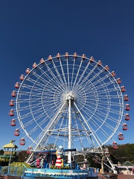 日本モンキーパークに投稿された画像（2020/11/24）