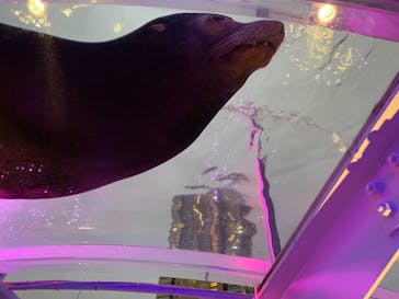 サンシャイン水族館に投稿された画像（2020/11/24）