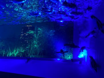 サンシャイン水族館に投稿された画像（2020/11/24）