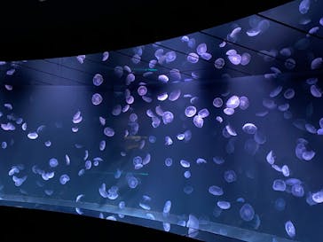 サンシャイン水族館に投稿された画像（2020/11/24）