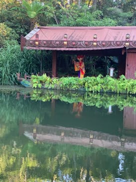 ビオスの丘に投稿された画像（2020/11/24）