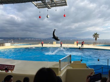 マリンワールド海の中道に投稿された画像（2020/11/24）