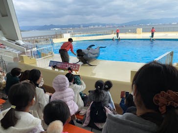 マリンワールド海の中道に投稿された画像（2020/11/24）