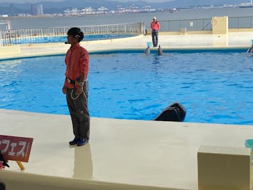 マリンワールド海の中道に投稿された画像（2020/11/24）