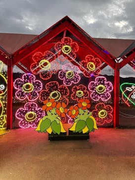 さがみ湖MORI MORIに投稿された画像（2020/11/24）