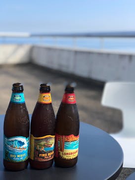 大分マリーンパレス水族館 「うみたまご」に投稿された画像（2020/11/22）