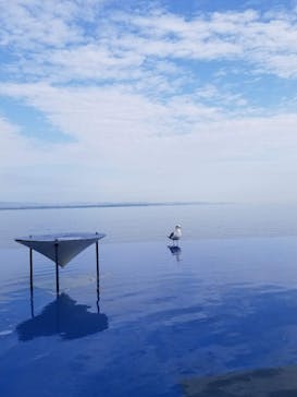 大分マリーンパレス水族館 「うみたまご」に投稿された画像（2020/11/22）