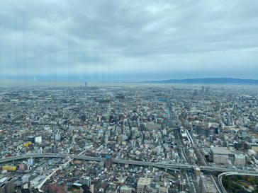 ハルカス300(展望台)に投稿された画像（2020/11/25）