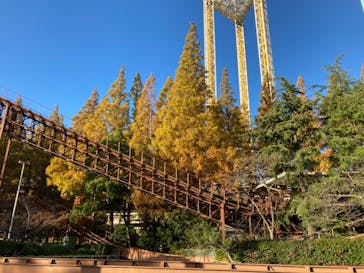 ナガシマスパーランドに投稿された画像（2020/11/25）