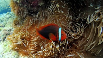 アクアドロップに投稿された画像（2020/11/25）