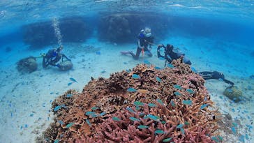 アクアドロップに投稿された画像（2020/11/25）