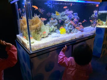 京都水族館に投稿された画像（2020/11/25）