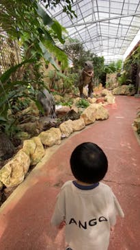 ナゴパイナップルパークに投稿された画像（2020/11/25）