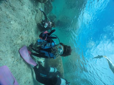 武藤潜水に投稿された画像（2020/11/25）