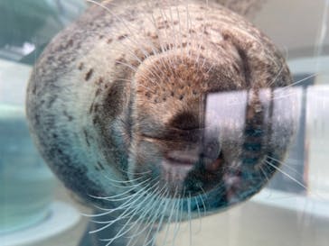京都水族館に投稿された画像（2020/11/25）
