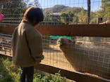 しろとり動物園に投稿された画像（2020/11/25）