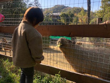 しろとり動物園に投稿された画像（2020/11/25）