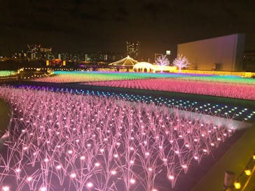 東京メガイルミに投稿された画像（2020/11/25）