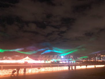 東京メガイルミに投稿された画像（2020/11/25）