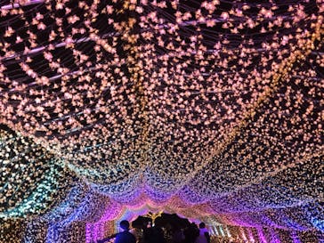 東京メガイルミに投稿された画像（2020/11/25）