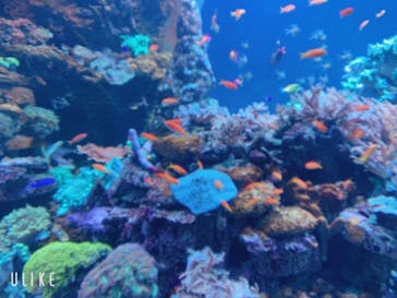 サンシャイン水族館に投稿された画像（2020/11/25）