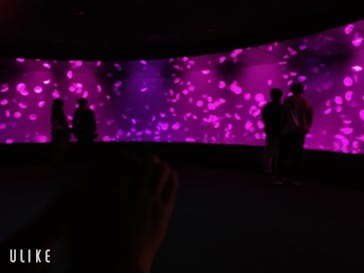 サンシャイン水族館に投稿された画像（2020/11/25）