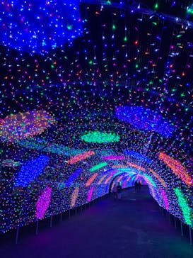 よみうりランド 遊園地に投稿された画像（2020/11/25）