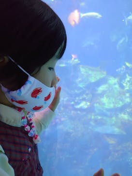 鳥羽水族館に投稿された画像（2020/11/25）