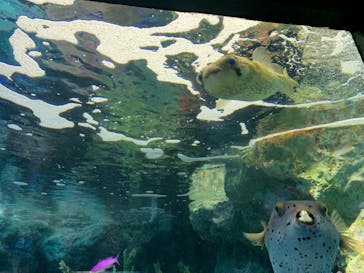 サンシャイン水族館に投稿された画像（2020/11/25）