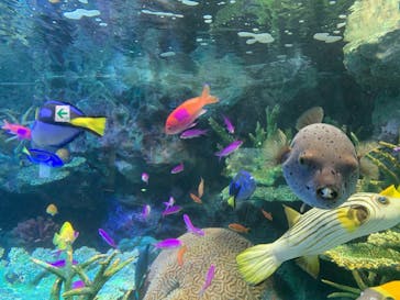 サンシャイン水族館に投稿された画像（2020/11/25）