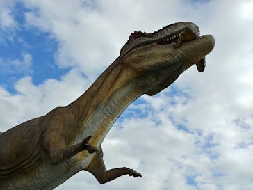 伊豆ぐらんぱる公園に投稿された画像（2020/11/25）