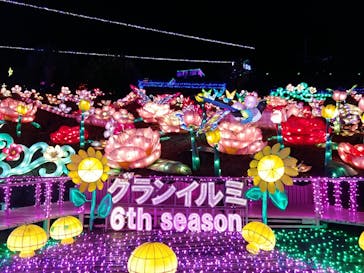 伊豆ぐらんぱる公園に投稿された画像（2020/11/25）