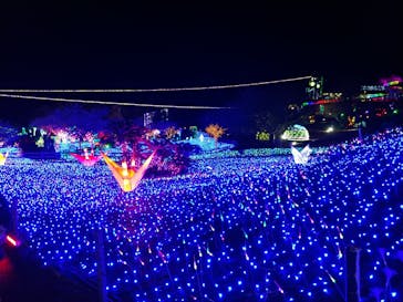 伊豆ぐらんぱる公園に投稿された画像（2020/11/25）