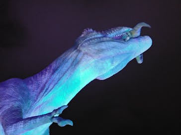 伊豆ぐらんぱる公園に投稿された画像（2020/11/25）