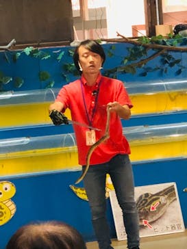 おきなわワールドに投稿された画像（2020/11/25）