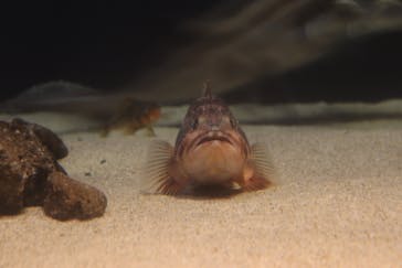 サンシャイン水族館に投稿された画像（2020/11/25）