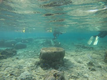 武藤潜水に投稿された画像（2020/11/26）