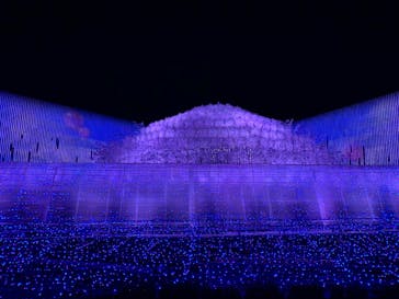 なばなの里に投稿された画像（2020/11/26）