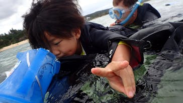 ダイビングショップ Sea Free（シーフリー）に投稿された画像（2020/11/26）